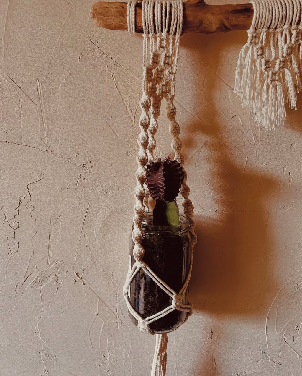 Suspension plante en corde