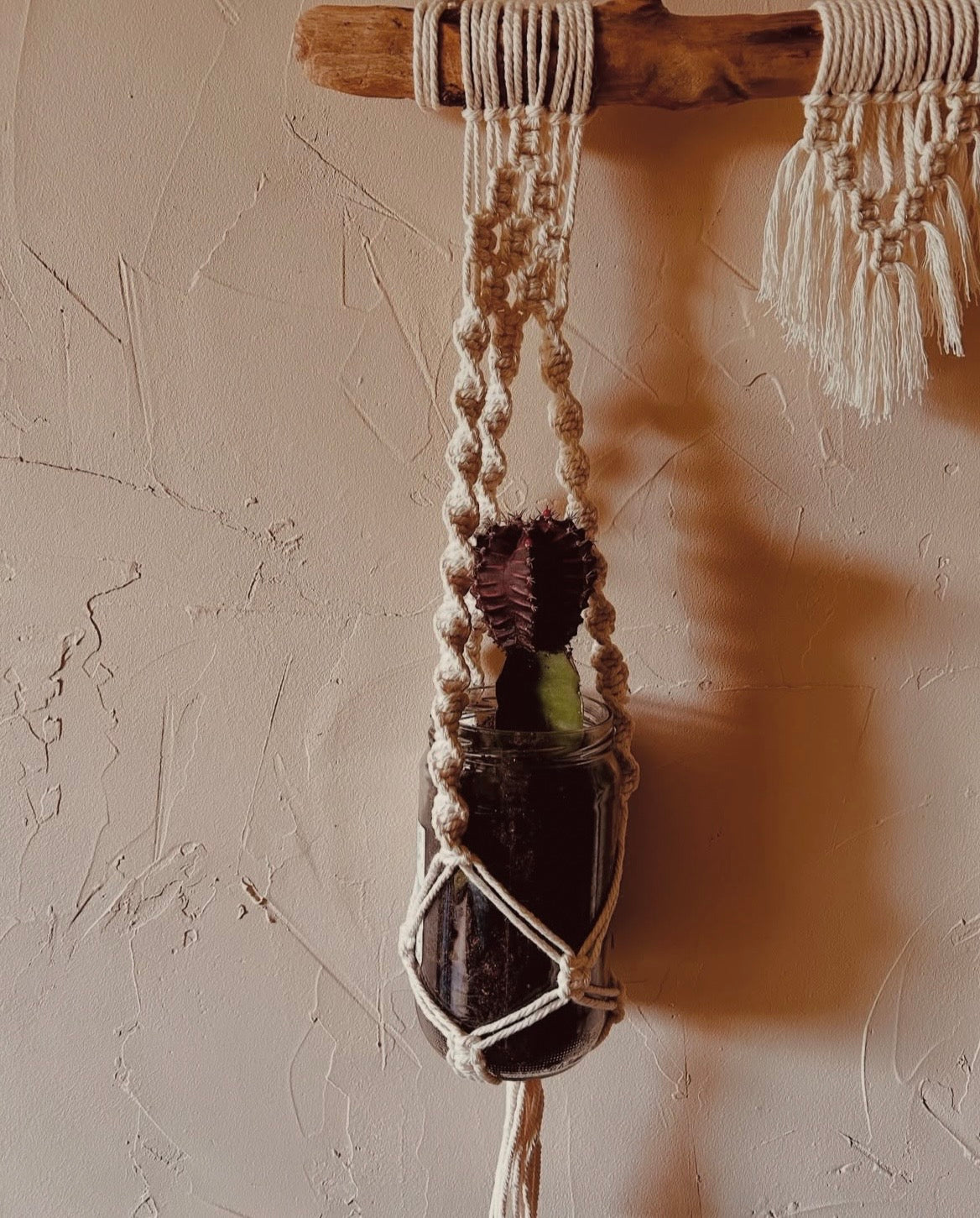 Suspension plante en corde