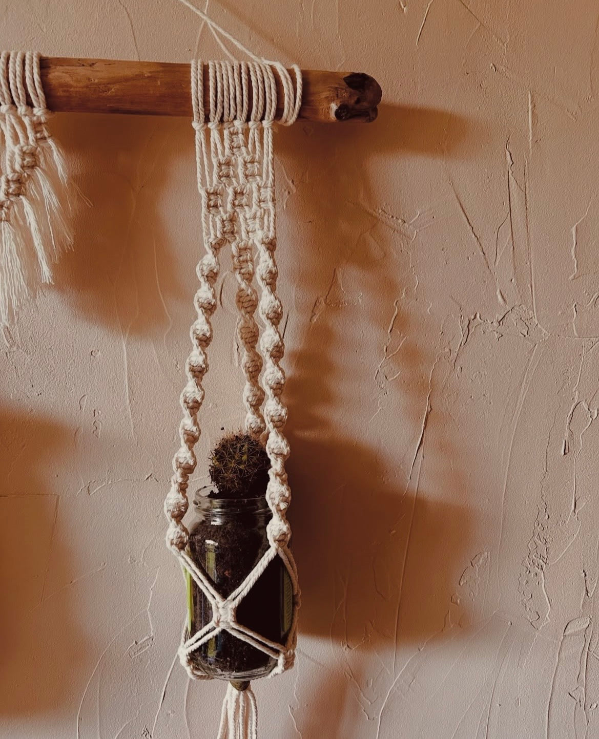 Suspension plante en corde