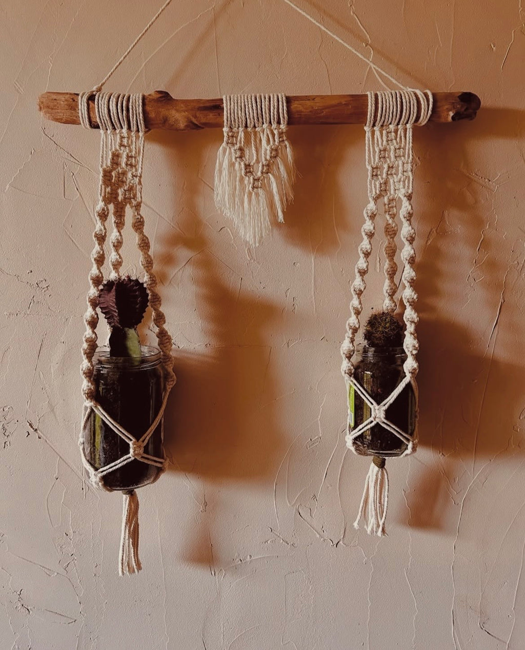 Suspension plante en corde