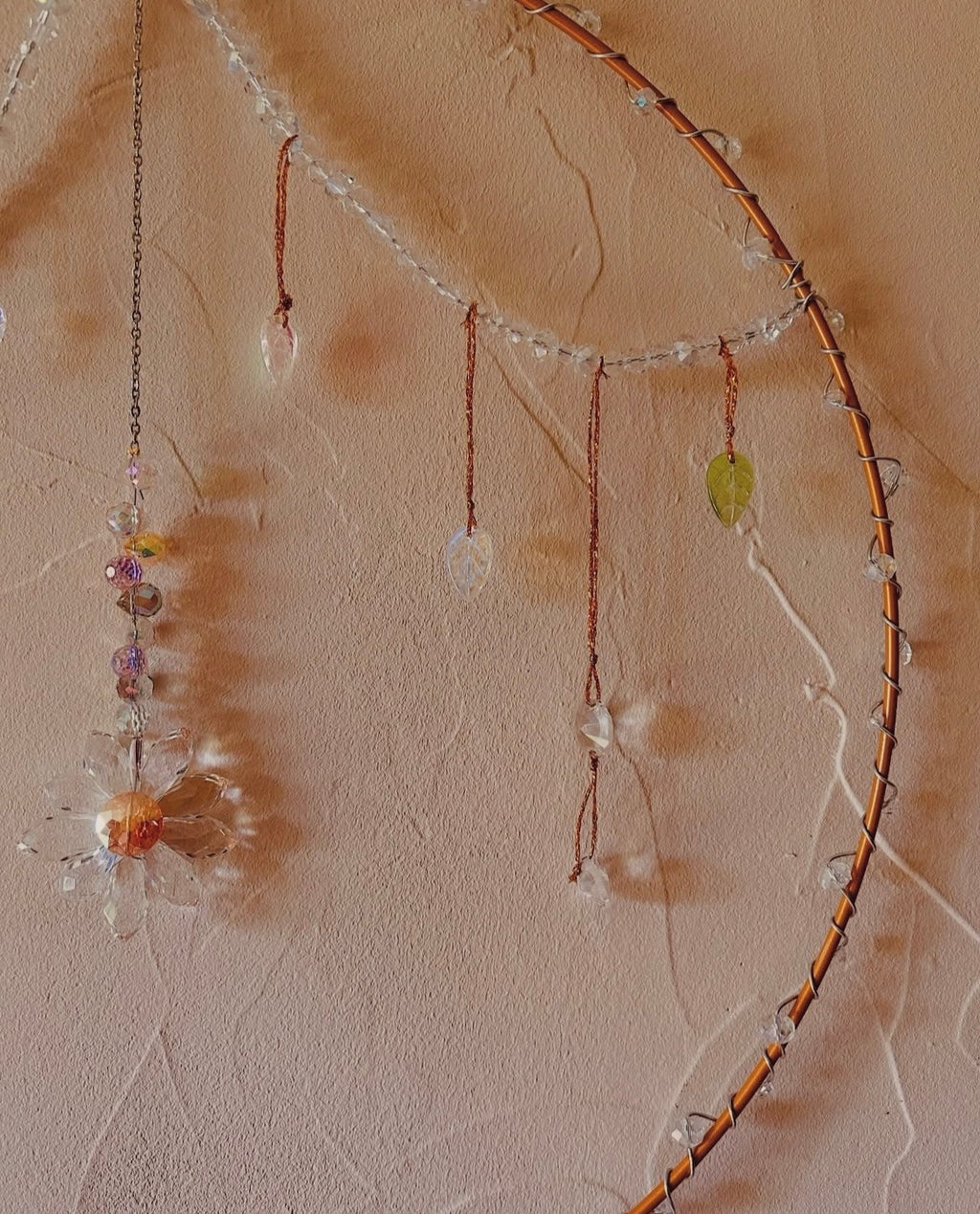 Attrape soleil marguerite