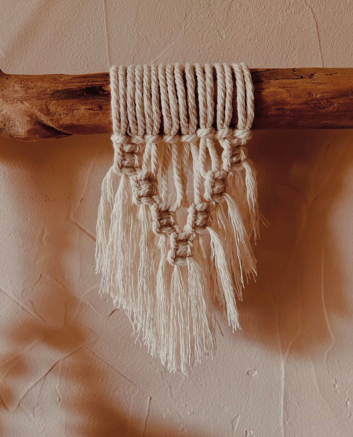 Suspension plante en corde